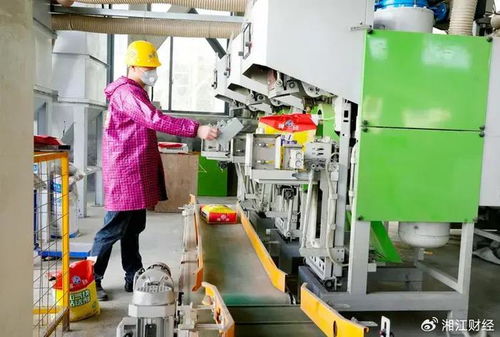 平江首届贴砖大师技术交流会召开，聚焦环保砂浆技术开发与应用