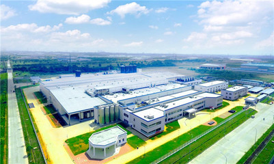 伊利携手印尼，以科技守护红树林，共筑绿色未来